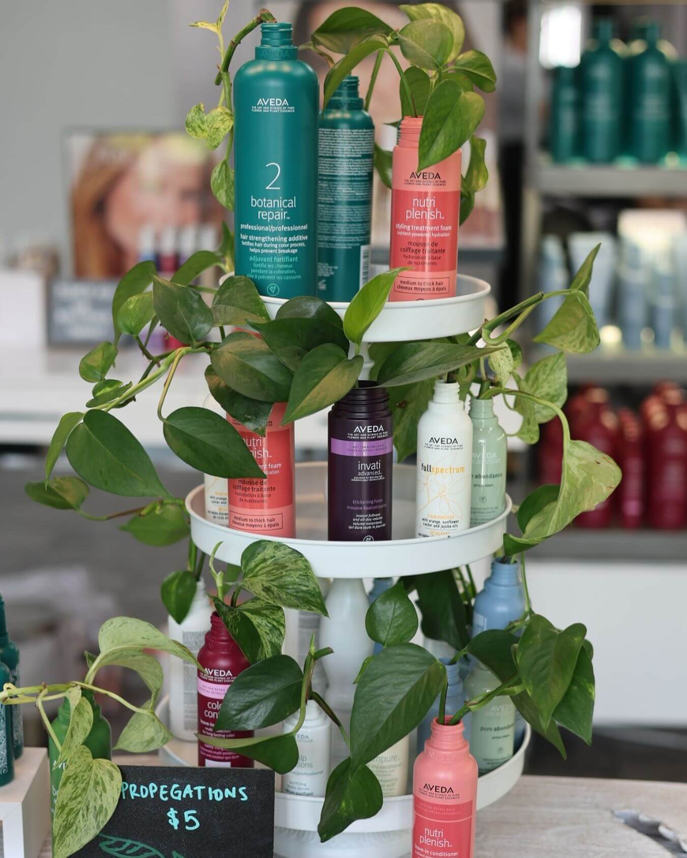 Three-tiered stand displaying various Aveda hair products, surrounded by green trailing plants, with a small sign reading “Propagations $5” at the bottom.