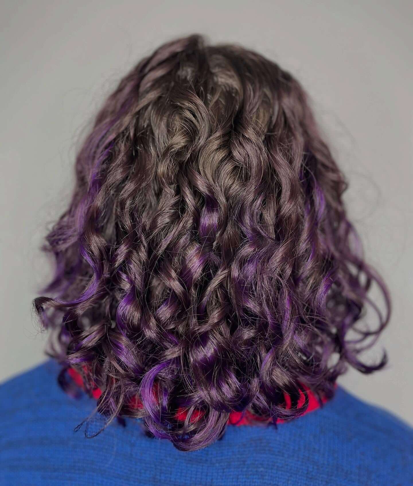 A person with shoulder-length, curly brown hair with purple highlights, wearing a blue sweater and red collar, shown from the back.